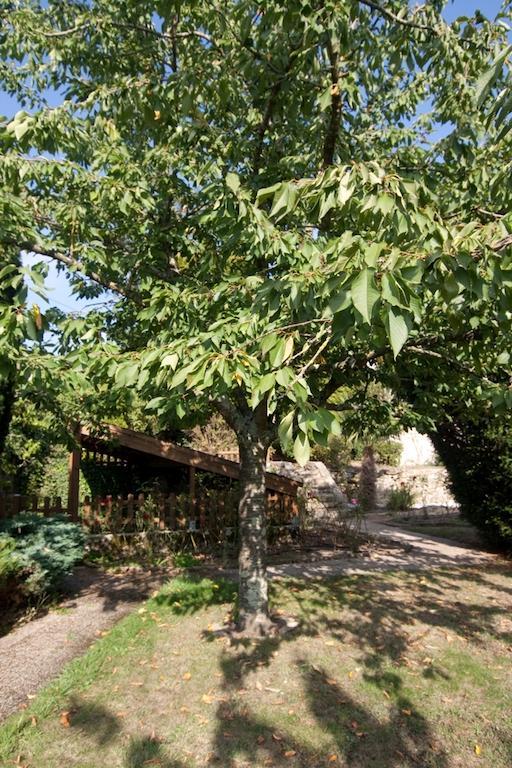 Le Petit Chateau - Tiffauges Proche Puy Dufou Luaran gambar