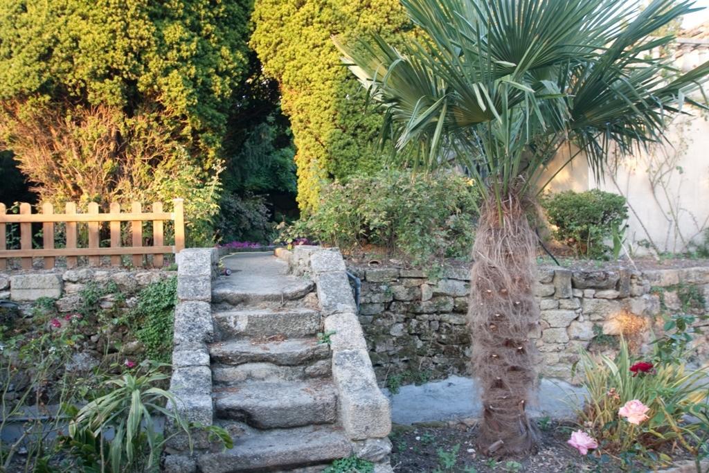 Le Petit Chateau - Tiffauges Proche Puy Dufou Luaran gambar