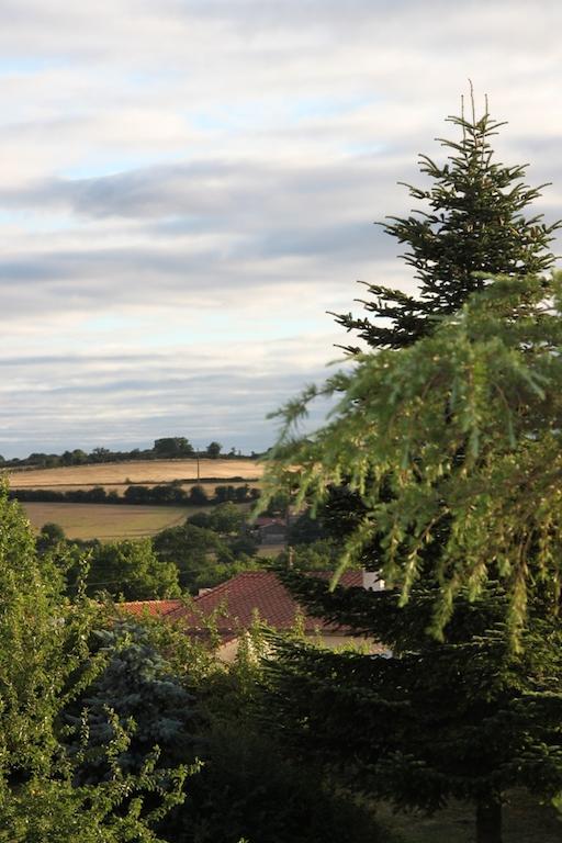 Le Petit Chateau - Tiffauges Proche Puy Dufou Luaran gambar